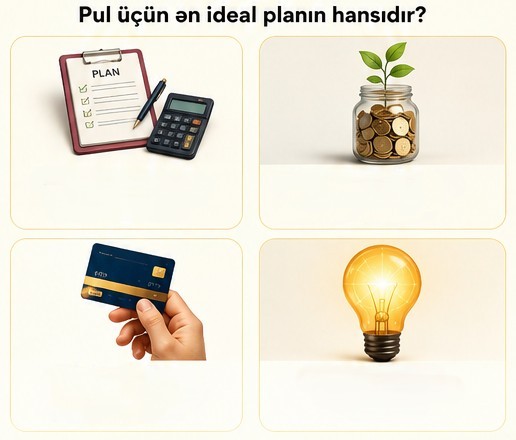Pul üçün ən ideal planın hansıdır?